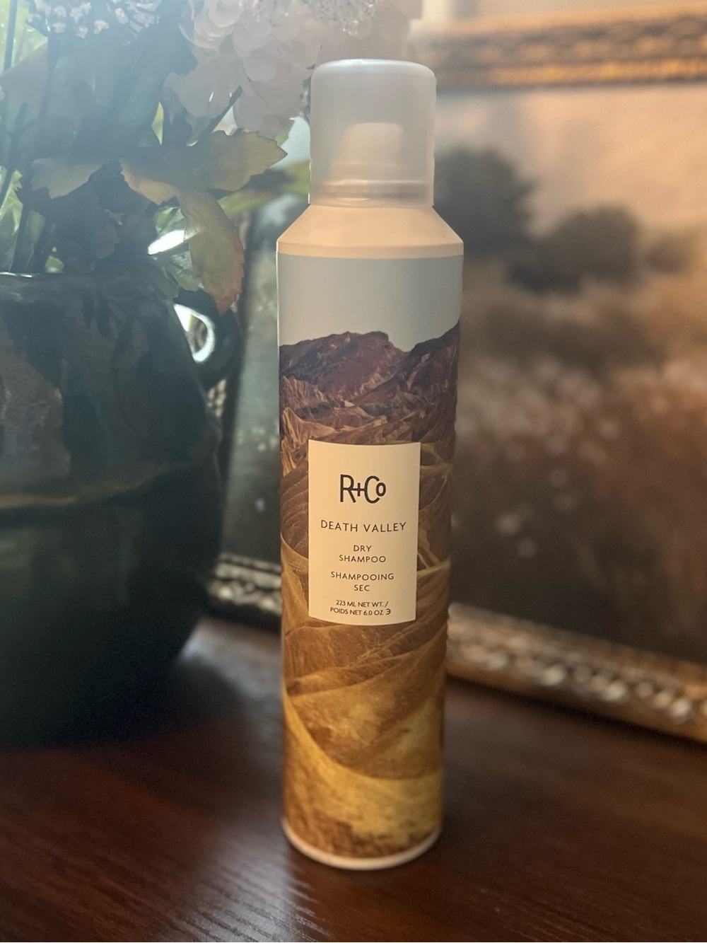 R+Co Death Valley Dry Shampoo #331